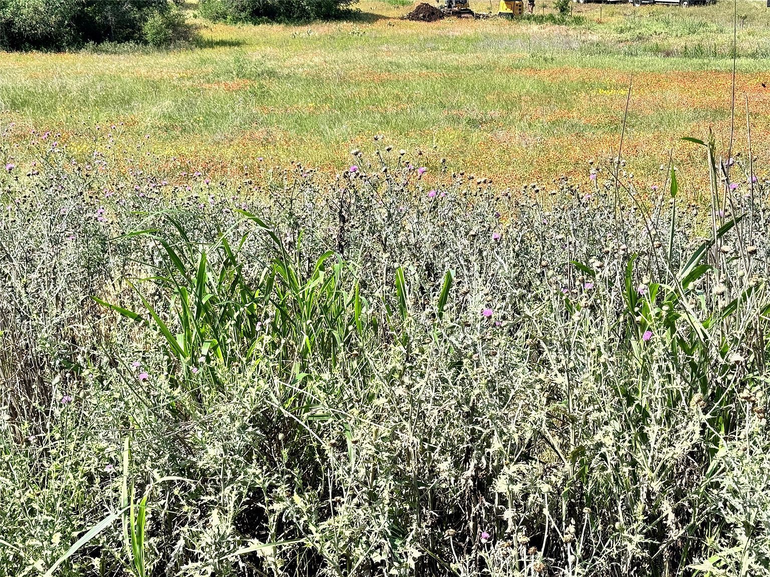 991-992 Long View Dr Brownwood, TX 76801 - Thumbnail 5