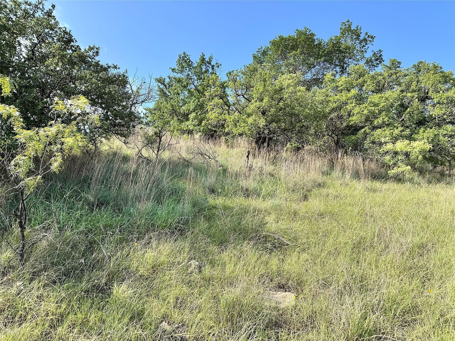 479 Oak Point Dr May, TX 76857 - Thumbnail 5