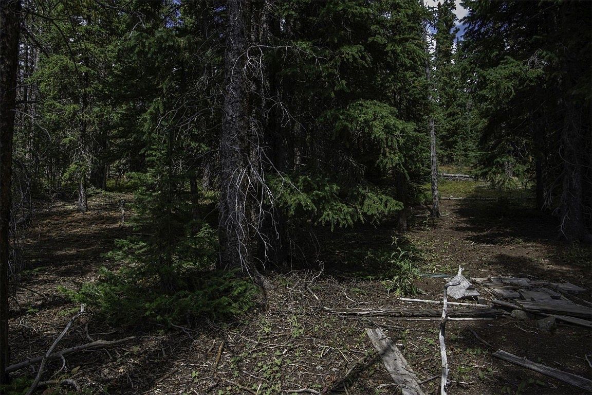 233 Camron Ln Breckenridge, CO 80424 - Thumbnail 5