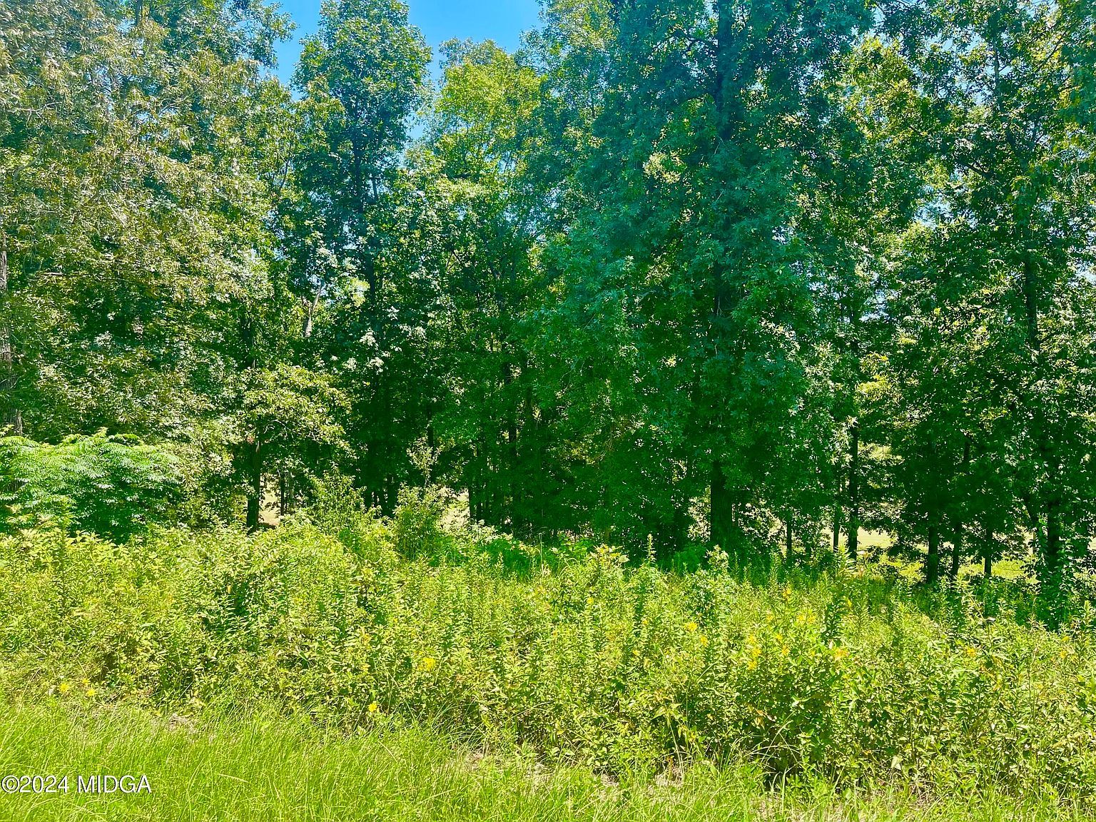 11 Oak Dr Hawkinsville, GA 31036 - Thumbnail 5