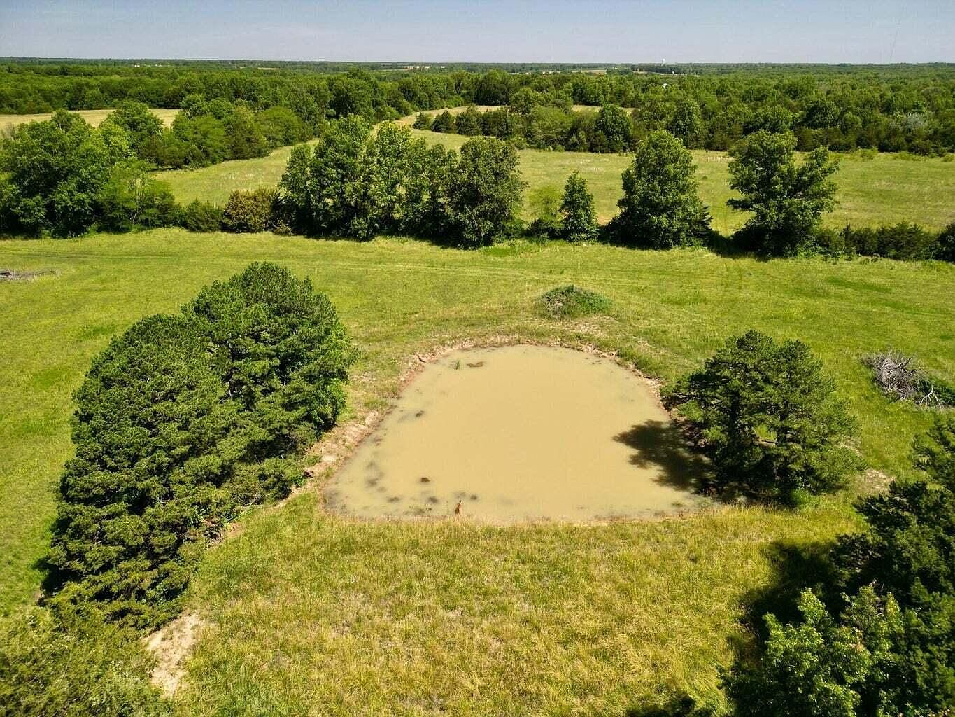 1 Track 1c Aud Rd #935 Mexico, MO 65265 - Thumbnail 5