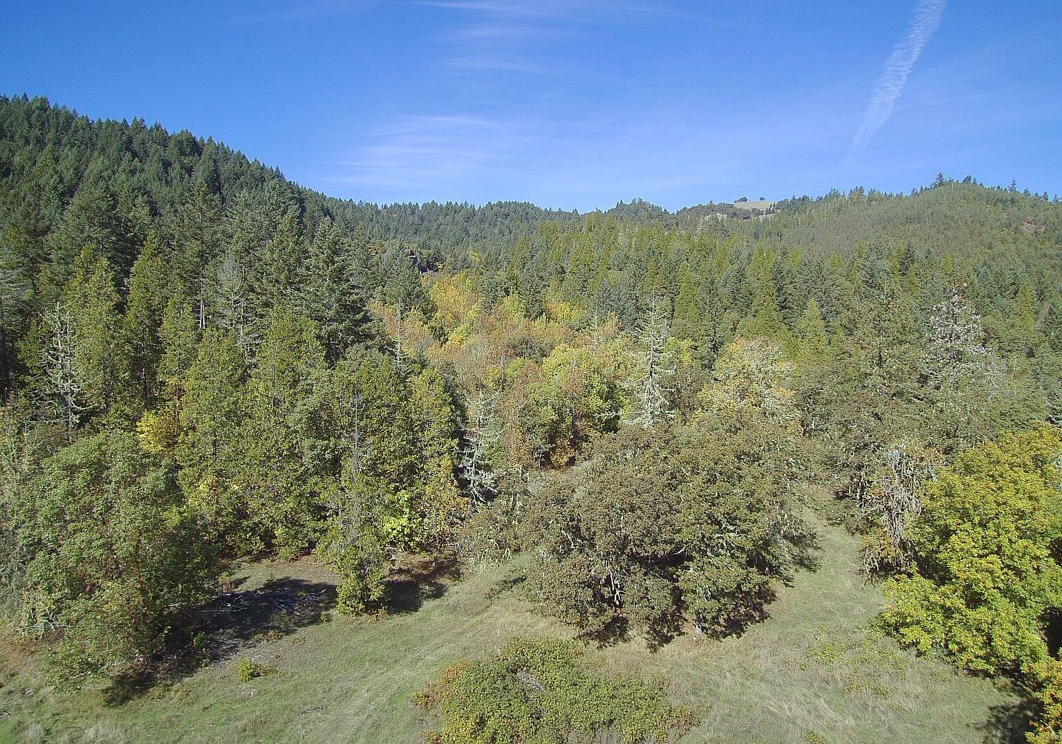 0 Bilger Creek Rd Myrtle Creek, OR 97457 - Thumbnail 5