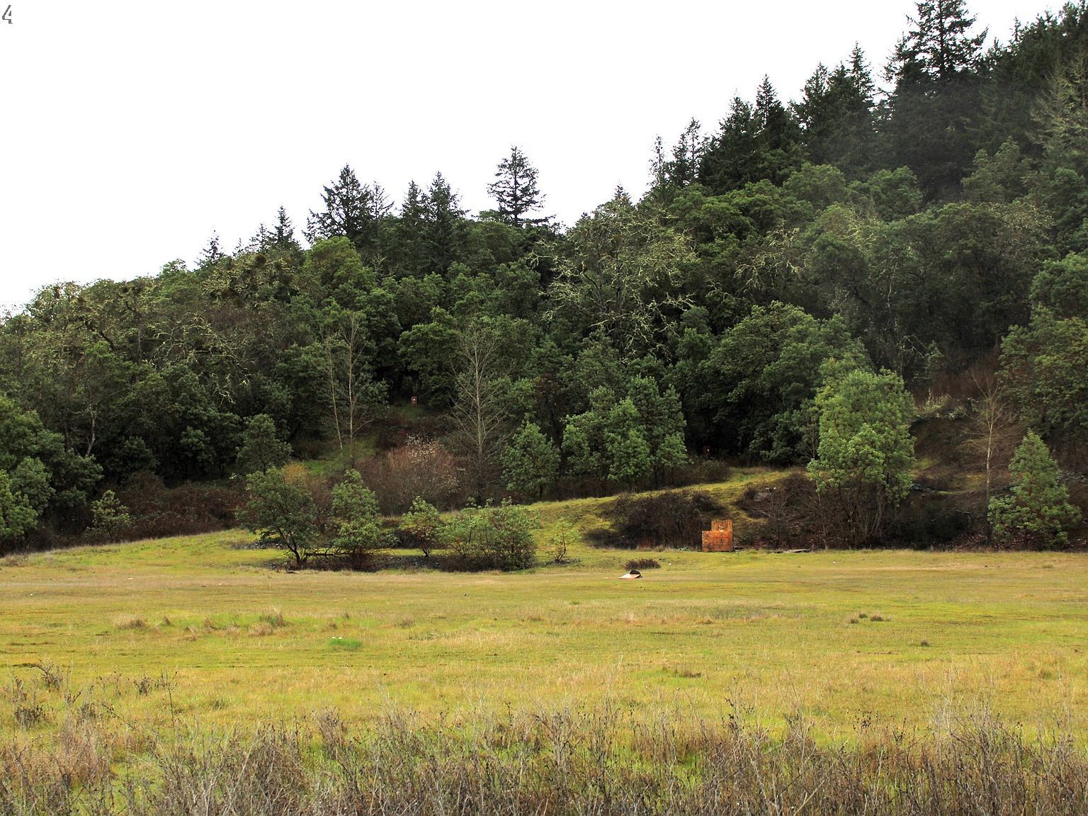 0 Horizon Ln Myrtle Creek, OR 97457 - Thumbnail 5