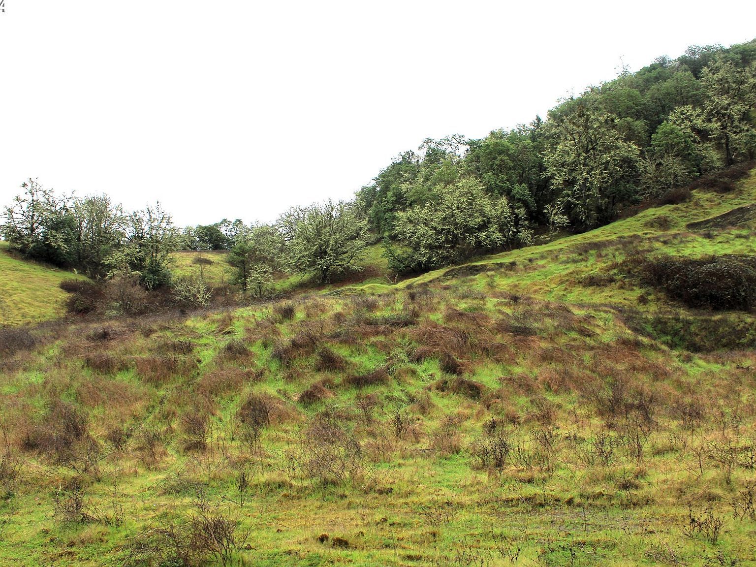 0 Yokum Rd Riddle, OR 97469 - Thumbnail 5