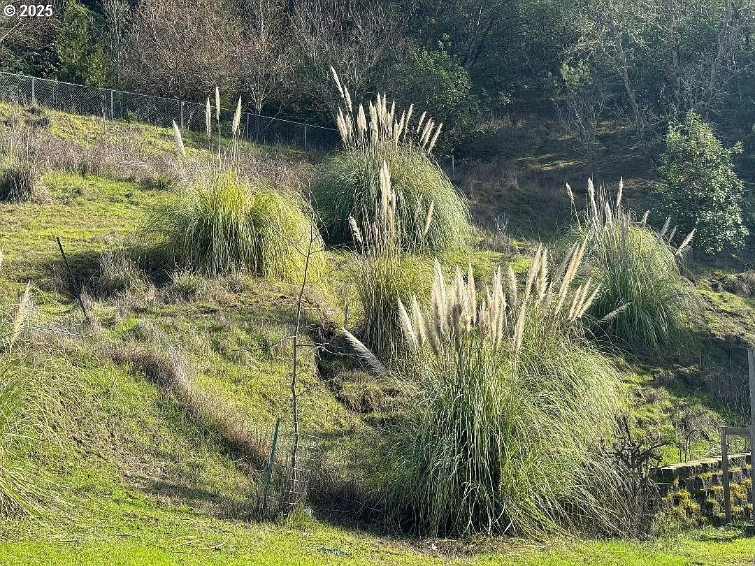 424 Aker Dr Myrtle Creek, OR 97457 - Thumbnail 5