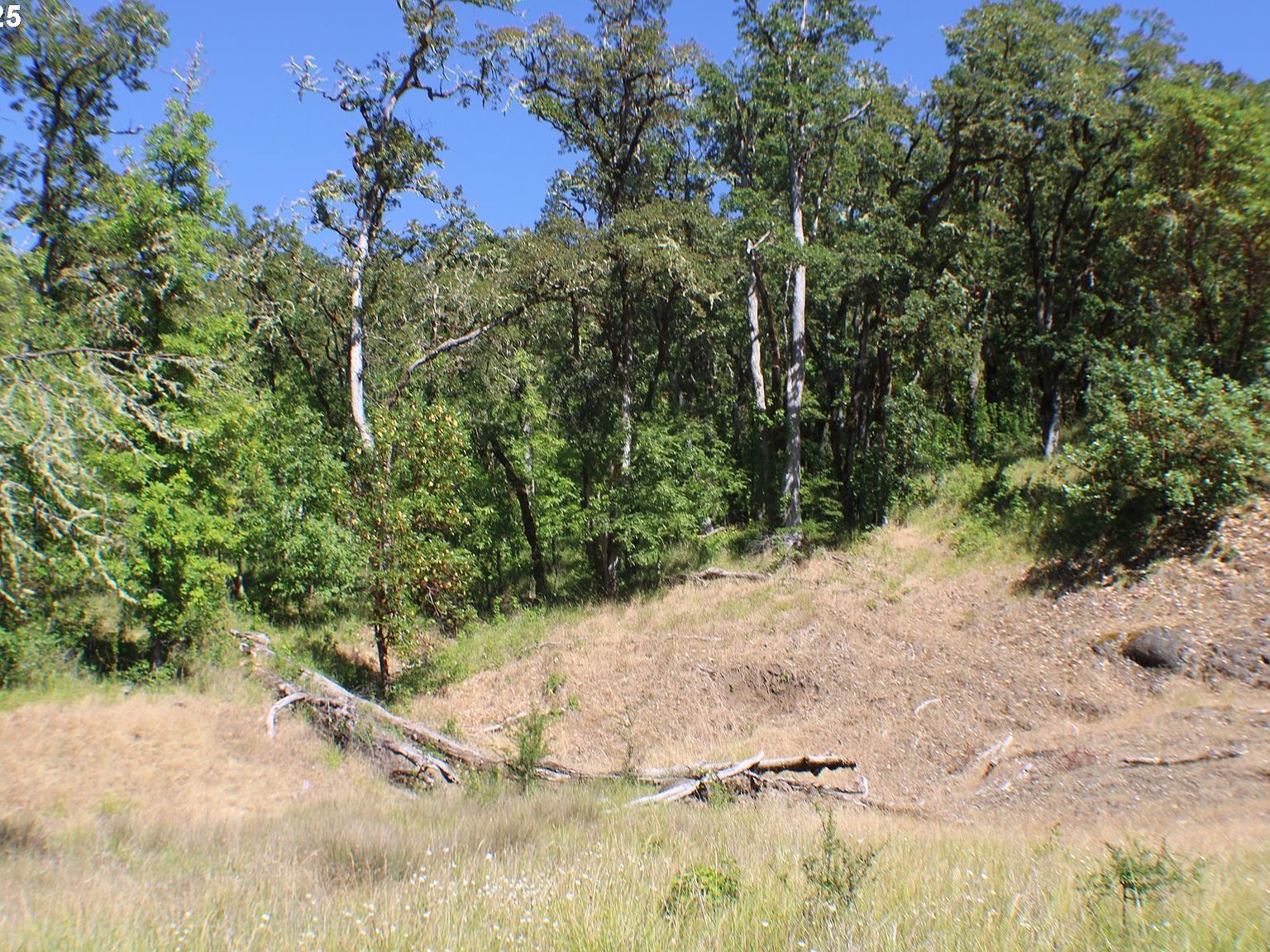 0 Sierra Dr Roseburg, OR 97471 - Thumbnail 5