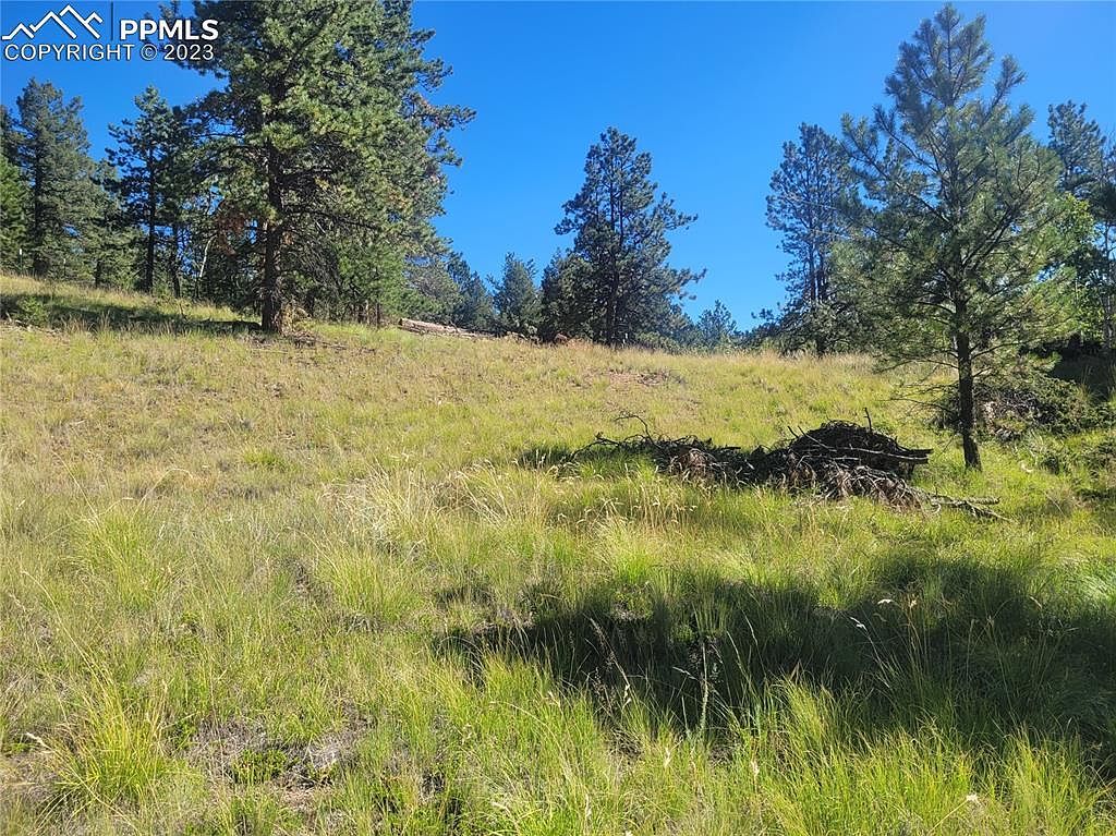 3168 N Mountain Estates Rd Florissant, CO 80816 - Thumbnail 5