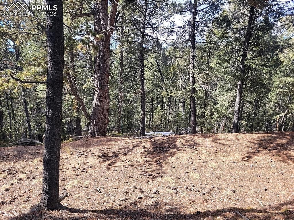 329 Paradiso Rd Divide, CO 80814 - Thumbnail 5