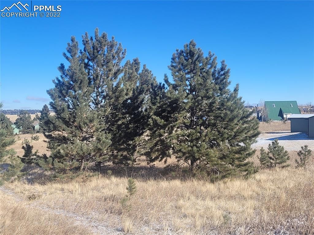 589 Maid Marian Dr Divide, CO 80814 - Thumbnail 5