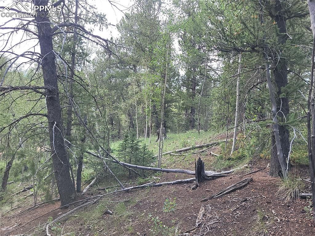 2455 Yorktown Rd Cripple Creek, CO 80813 - Thumbnail 5