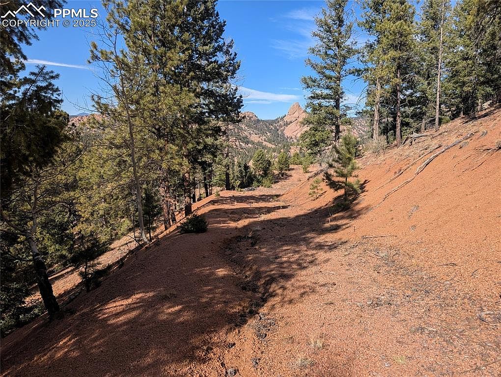 130 Lookout Rd Cripple Creek, CO 80813 - Thumbnail 5