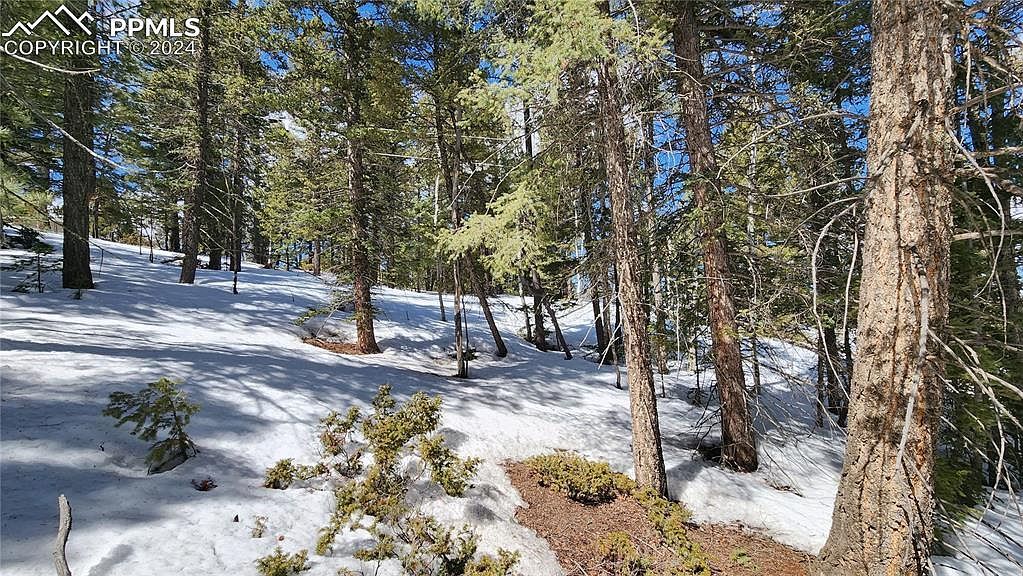 178 Gerka Ln Florissant, CO 80816 - Thumbnail 5