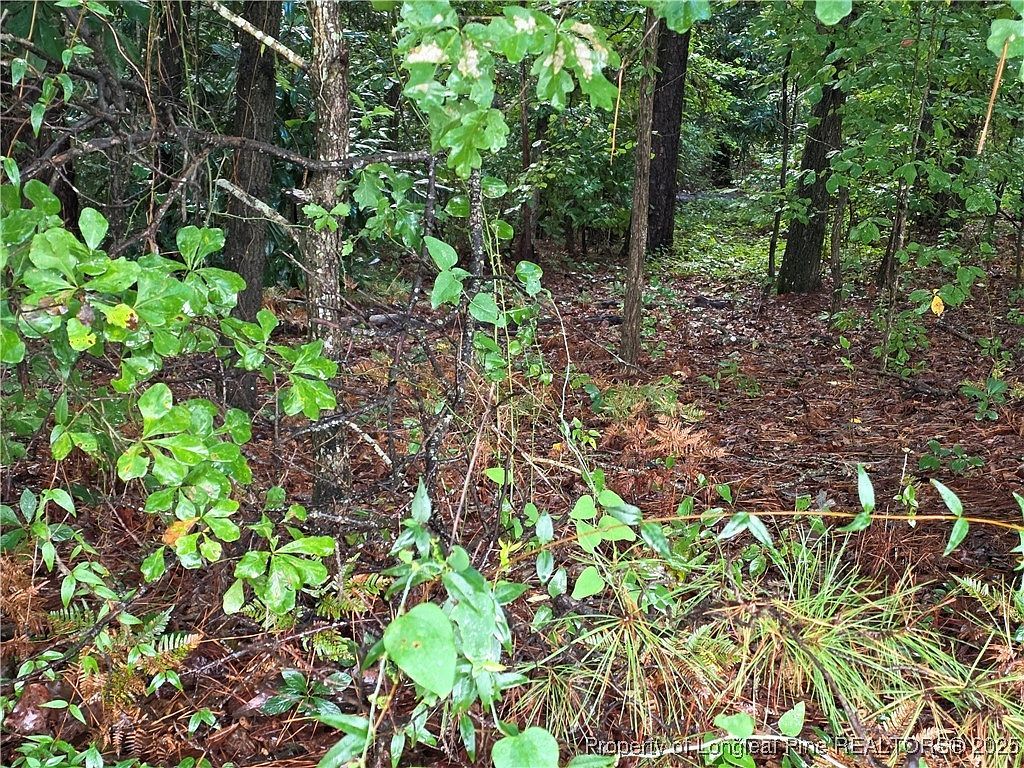 1261 Bingham Dr Fayetteville, NC 28304 - Thumbnail 5