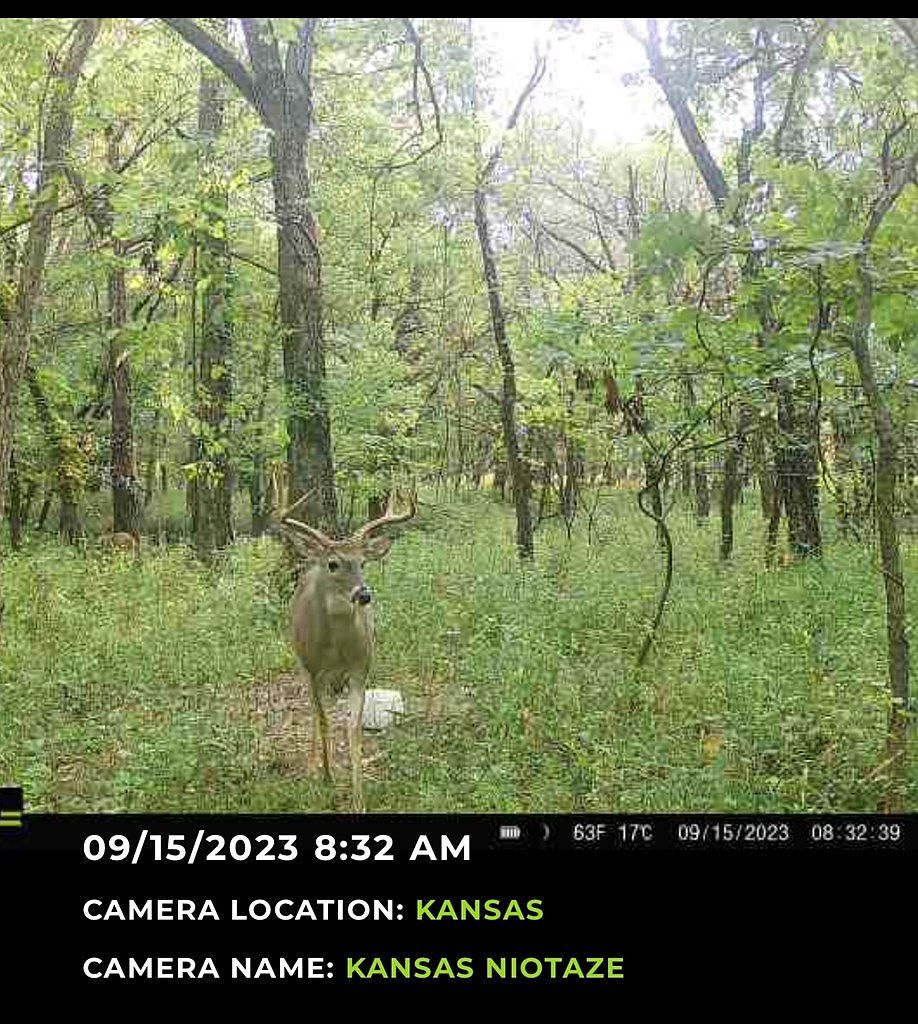 0 N G St Niotaze, KS 67355 - Thumbnail 5