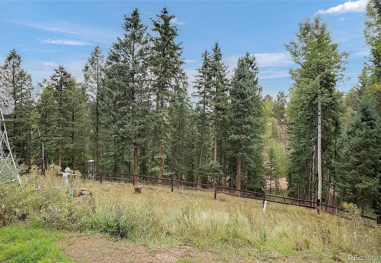 958 Cottonwood Lake Dr Divide, CO 80814 - Thumbnail 5