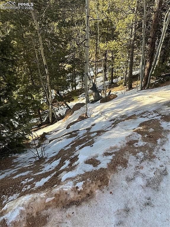 1600 Pikes Peak Dr Divide, CO 80814 - Thumbnail 5