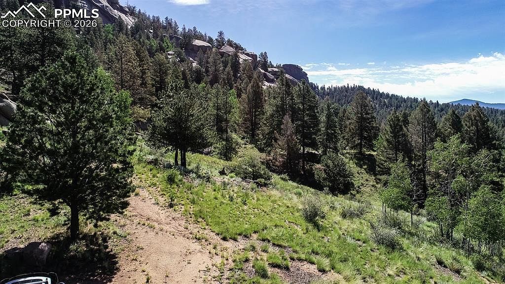 235 Hay Creek Rd Florissant, CO 80816 - Thumbnail 5