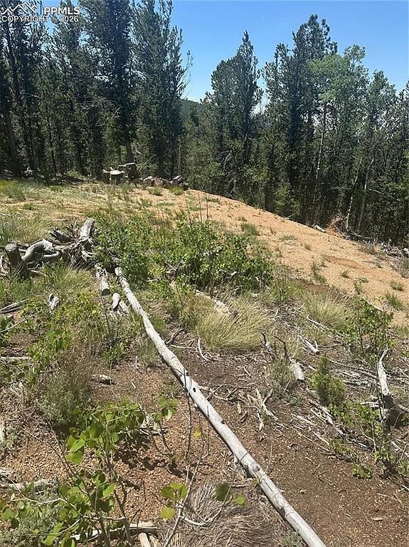 110 Brown Bear Ln Cripple Creek, CO 80813 - Thumbnail 5