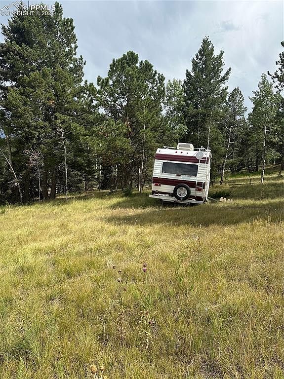 17 Deer Ridge Trl #33 Florissant, CO 80816 - Thumbnail 5