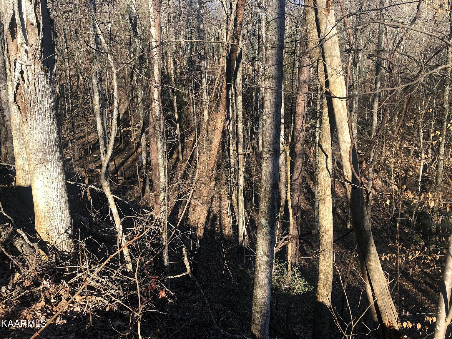 LOT 68 Yellowwood Dr Sevierville, TN 37876 - Thumbnail 5