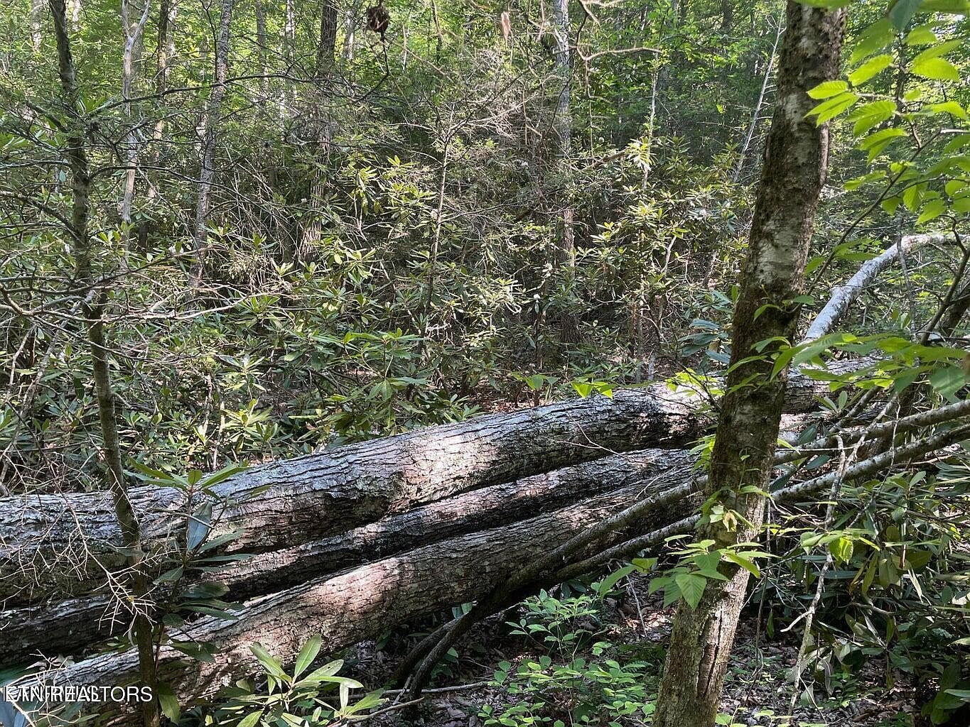 LOT 6 Sycamore St Sevierville, TN 37876  | Land/Lot