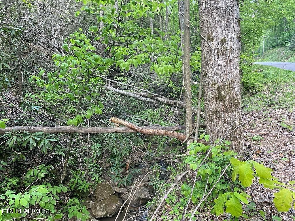 LOT 26 Alpine Dr Sevierville, TN 37876 - Thumbnail 5