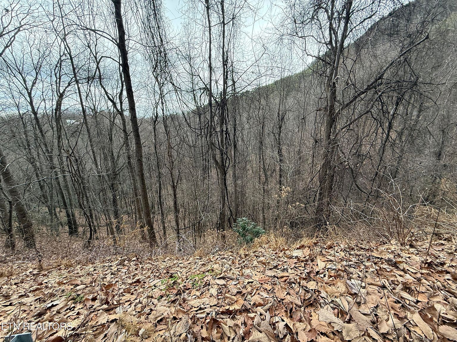 LOT 34 Alpine Dr Sevierville, TN 37876 - Thumbnail 5