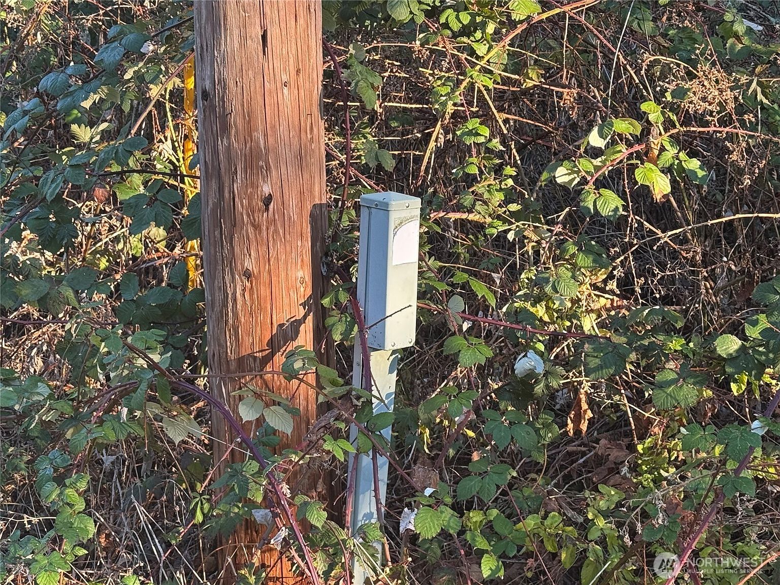 31319 555th St E Ashford, WA 98304 - Thumbnail 5