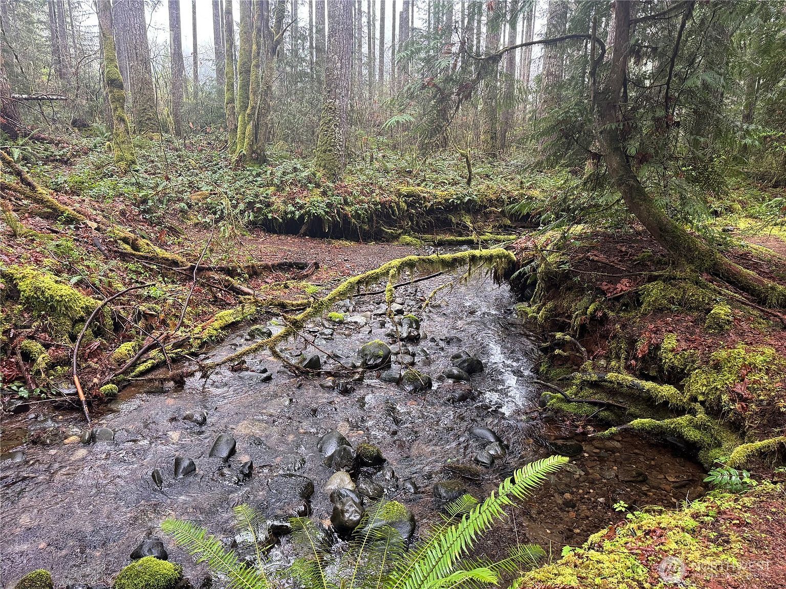 300 N Mount Jupiter Dr Hoodsport, WA 98548 - Thumbnail 5