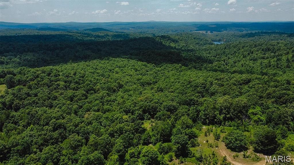 0 Madison St #247 Fredericktown, MO 63645 - Thumbnail 5