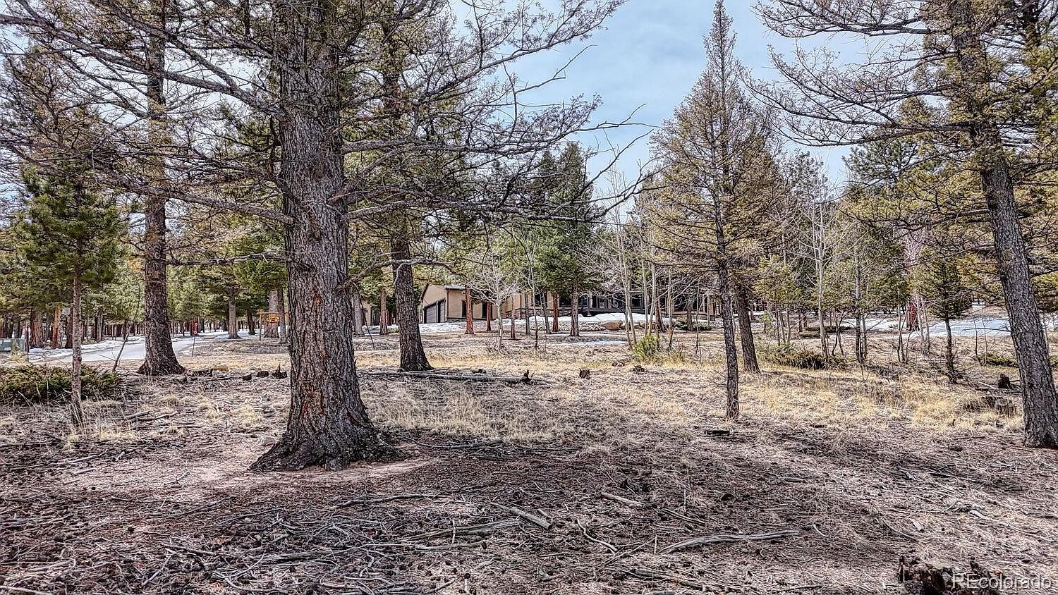 30406 National Forest Dr Buena Vista, CO 81211 - Thumbnail 5