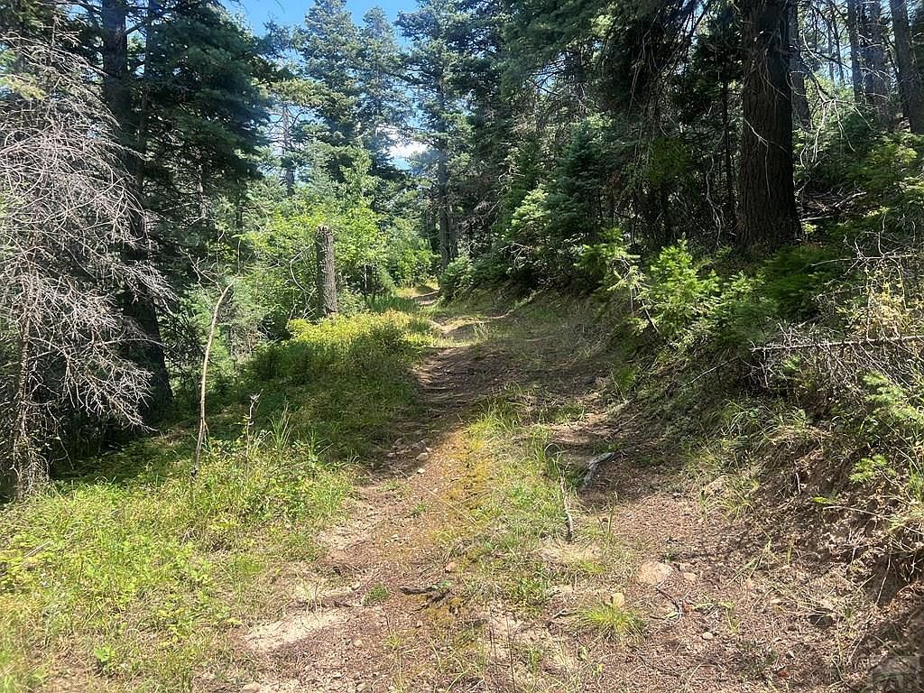 Tbd Bartlett Trl Rye, CO 81069 - Thumbnail 5