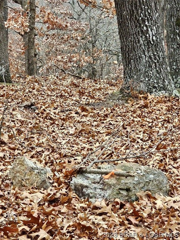 LOT 1448 Charlap Ln Edwards, MO 65326 - Thumbnail 5