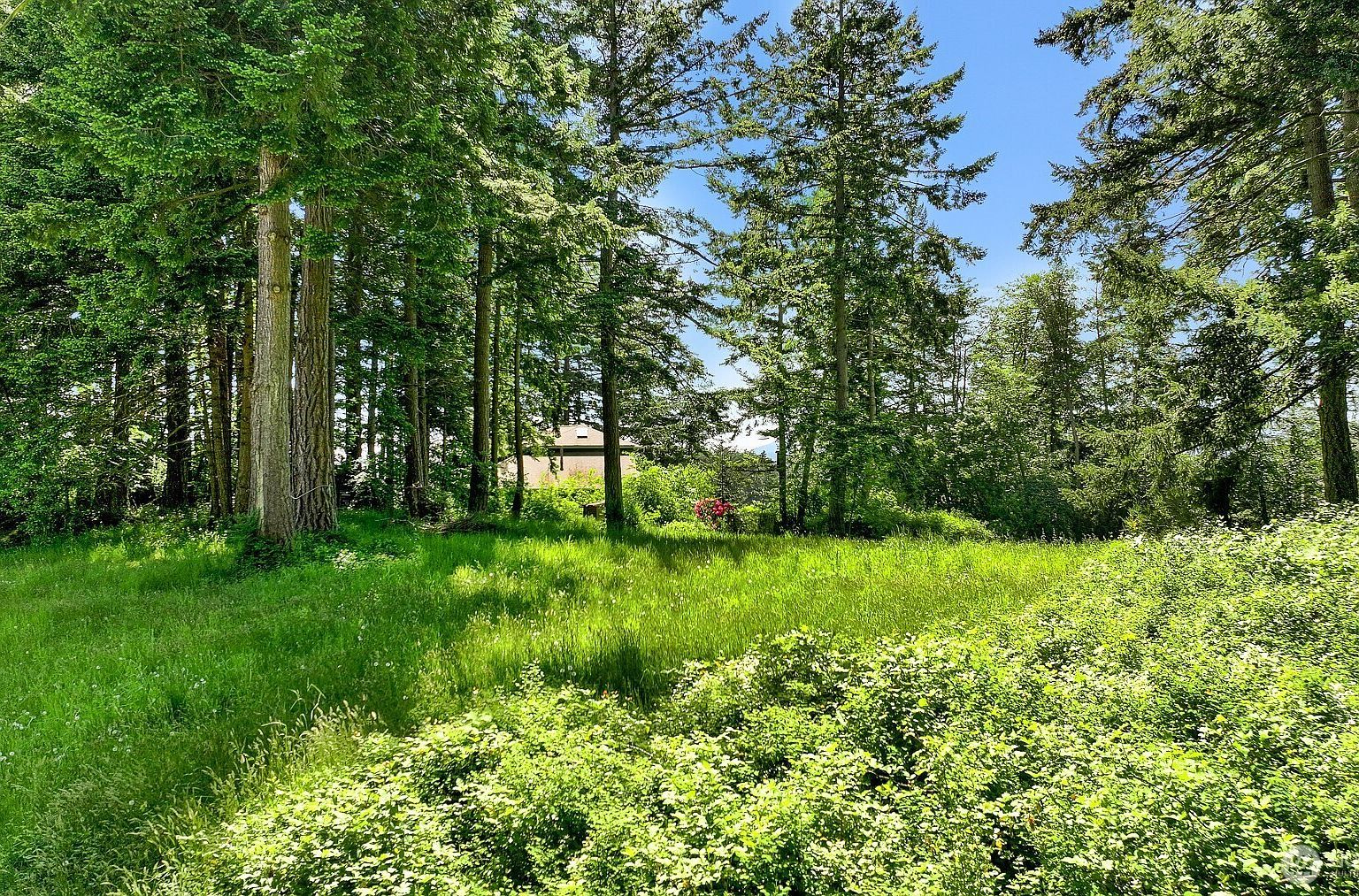 2093 Granger Way Lummi Island, WA 98262 - Thumbnail 5