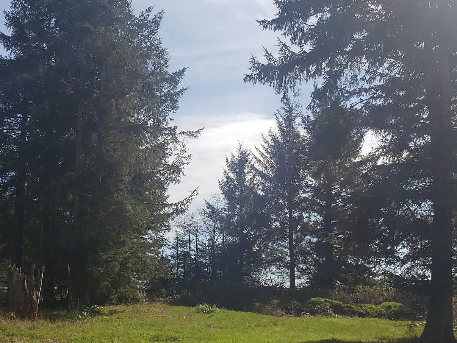 75 Embarcadero Dr Crescent City, CA 95531 - Thumbnail 5