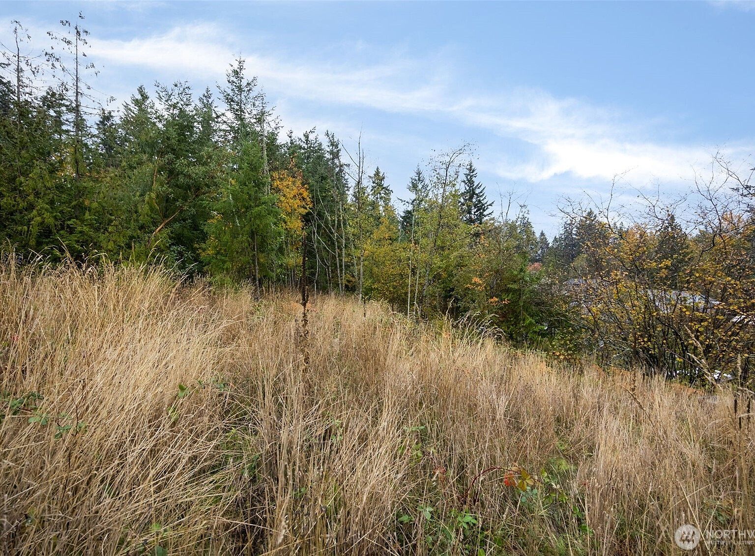 0 Xx 184th Ave E Bonney Lake, WA 98391 - Thumbnail 5