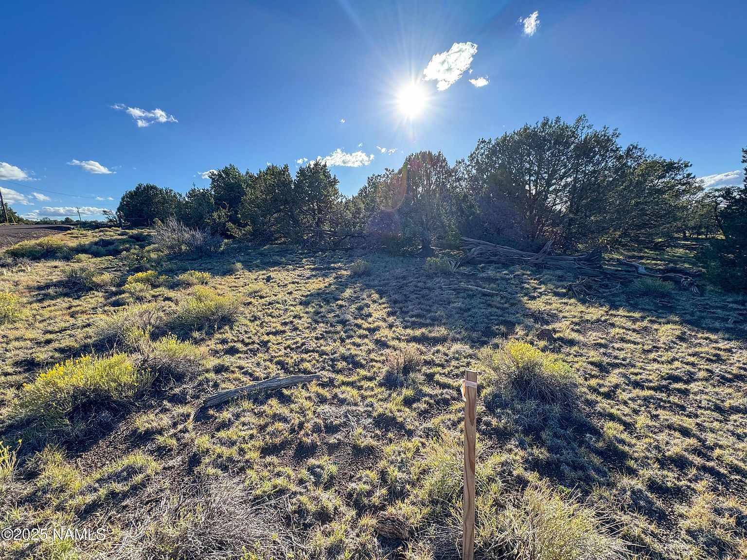 7354 N Apache Ave Williams, AZ 86046 - Thumbnail 5