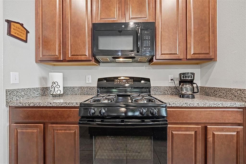 21362 Wistful Yearn Dr Land O Lakes, FL 34637 - Thumbnail 5