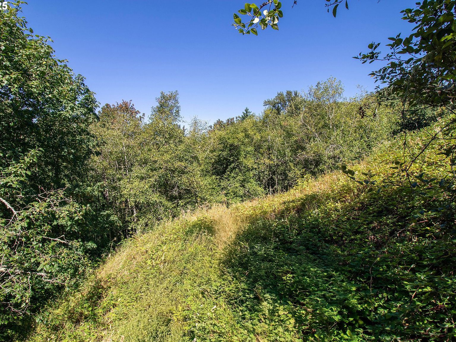 8049 NW Prominence Ct Portland, OR 97229 - Thumbnail 5