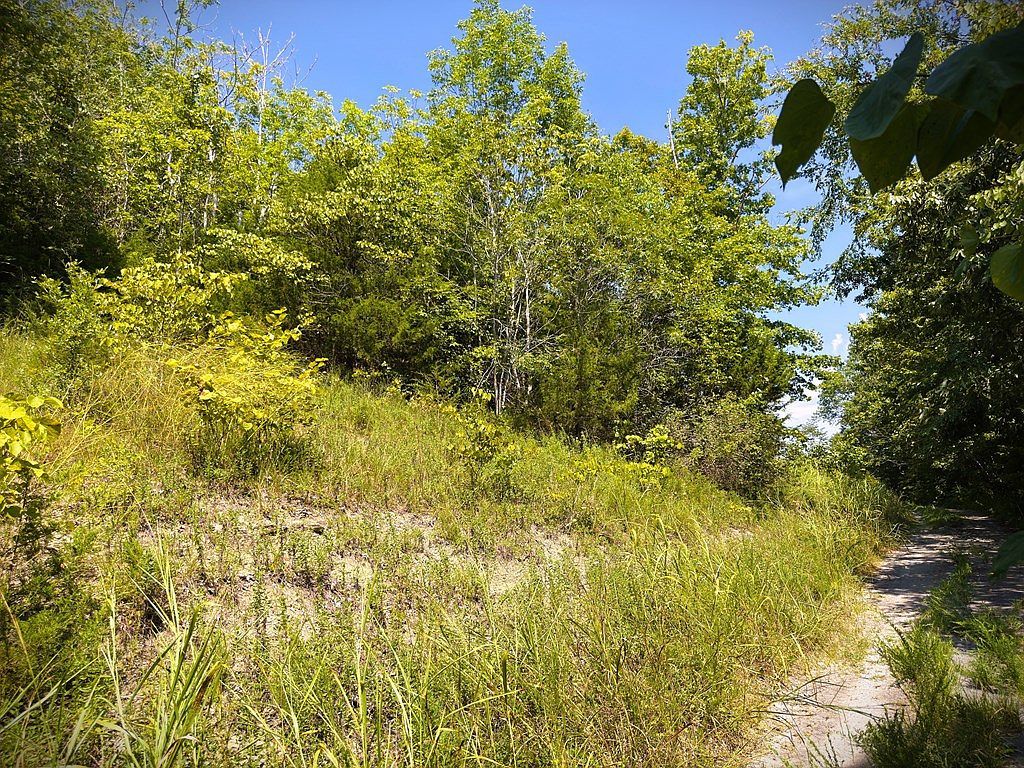 7D Bald Eagle Rd Hilham, TN 38568 - Thumbnail 5