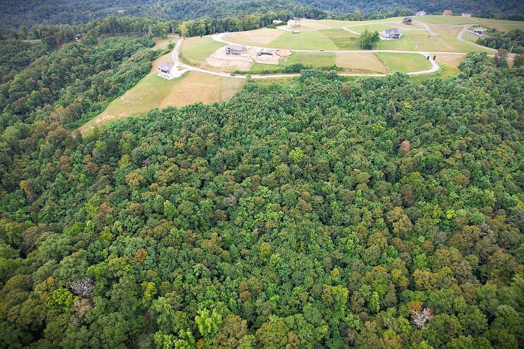 20C Rockfish Rd Hilham, TN 38568 - Thumbnail 5