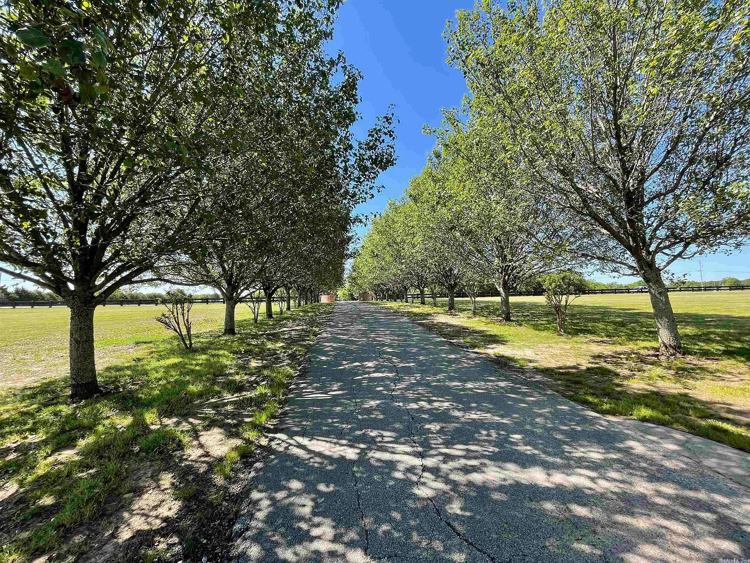 571 Honeysuckle Rd Bald Knob, AR 72010 - Thumbnail 5