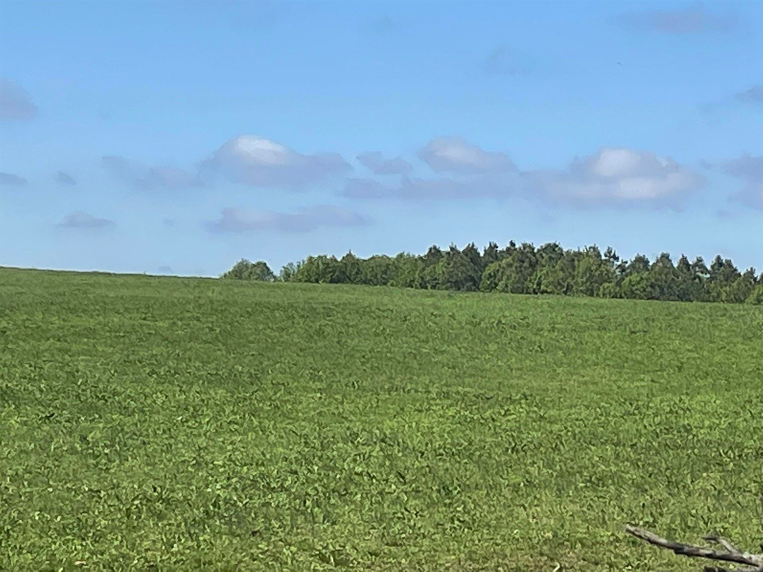 LOT 935 25 Goff Rd Quitman, AR 72131 - Thumbnail 5