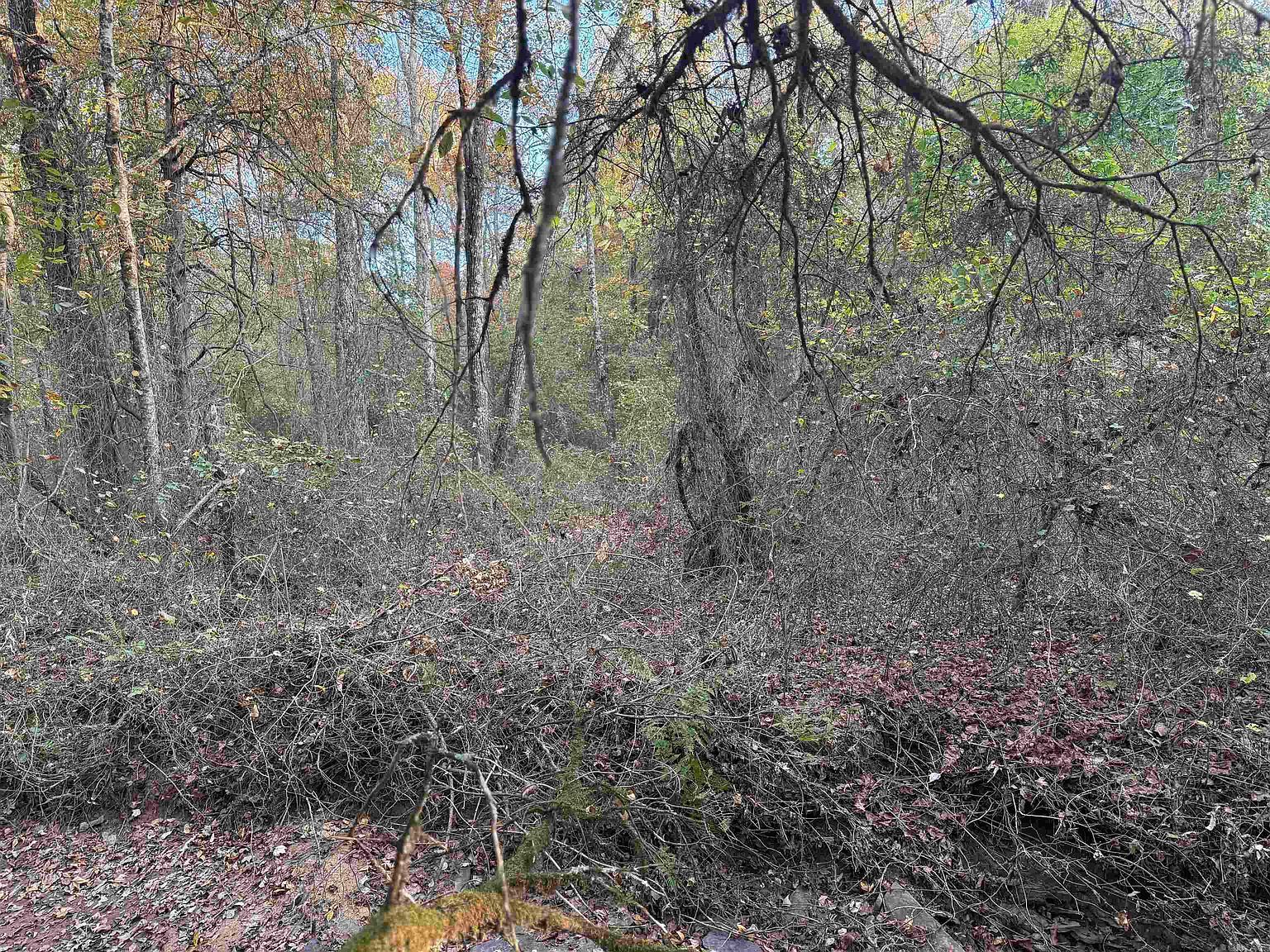 271 County Line Rd Rose Bud, AR 72137 - Thumbnail 5