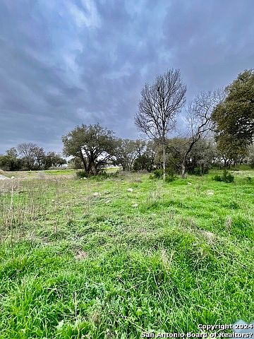 576 Private Road 3702 #113, San Antonio, TX, 78253 - Thumbnail 5