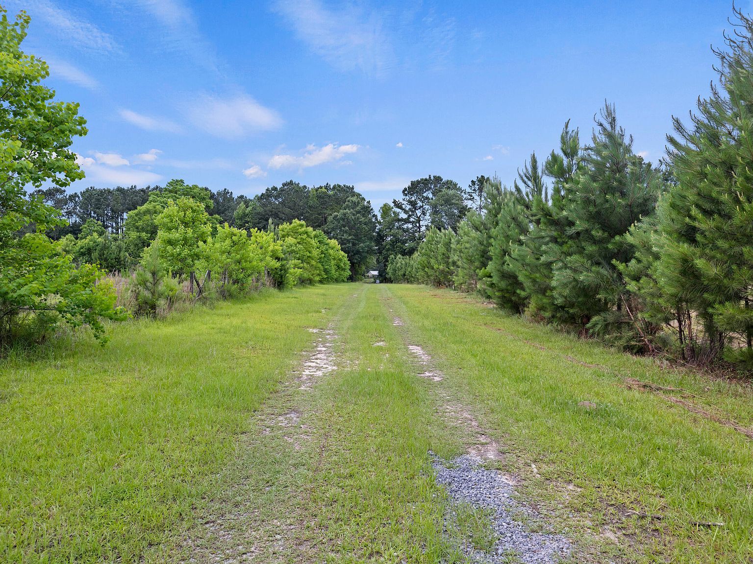 191 Marion Woods Trl Bonneau, SC 29431 - Thumbnail 5