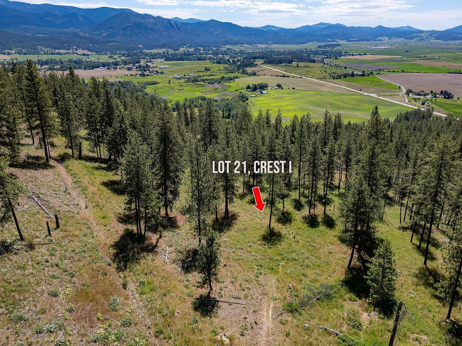 1612 Palmer Loop Chewelah, WA 99109 - Thumbnail 5