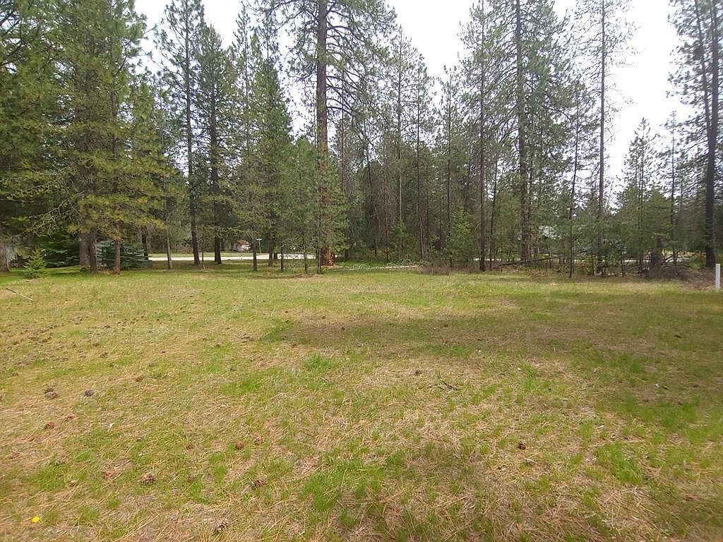 183 E Trappers Loop Chewelah, WA 99109 - Thumbnail 5