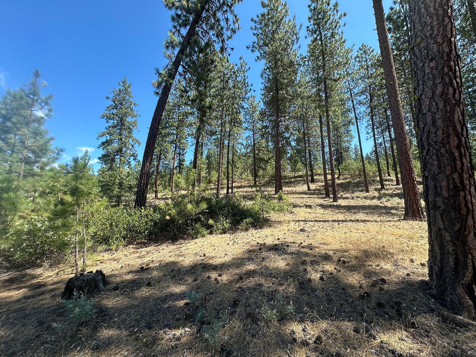 1363 Arthur Ct Kettle Falls, WA 99141 - Thumbnail 5