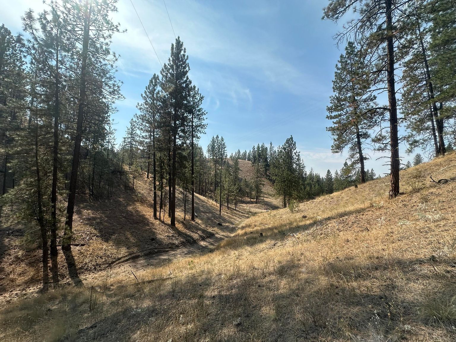 5699 Highway 231 Hwy #C Ford, WA 99013 - Thumbnail 5